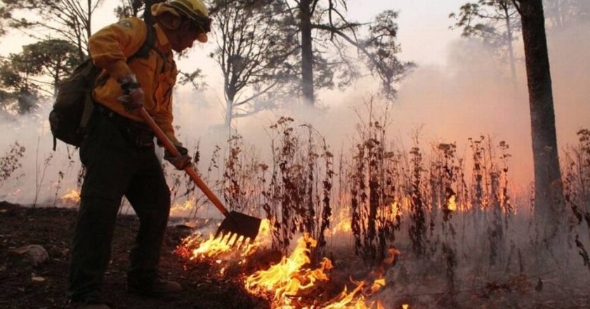 Incendios forestales generan alerta en la capital por altas temperaturas