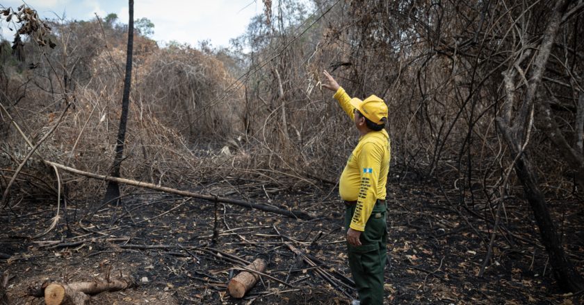 Incendios en Guatemala arrasaron con la selva maya; “la cicatriz es enorme”