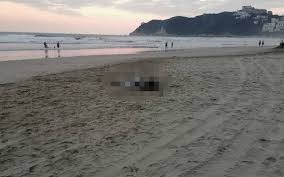 Hallan dos cuerpos atados en playa Revolcadero de Acapulco, Guerrero