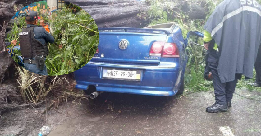 Familia en CDMX es aplastada por árbol abordo de auto; niño es rescatado 