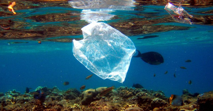 Prohibición al uso de bolsas de plástico en Estados Unidos reducen contaminación en playas