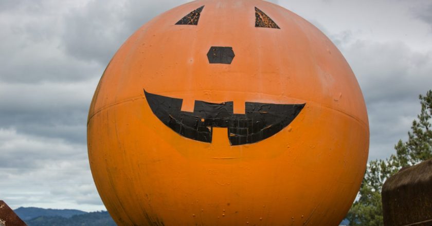 Policías atrapan a calabaza gigante que rodaba en una carretera de Estados Unidos