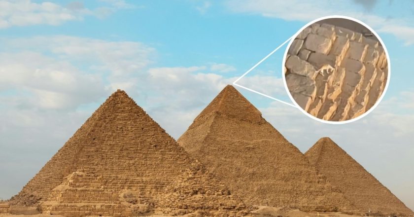 Perrito es captado en la cima de la gran Pirámide de Giza en Egipto