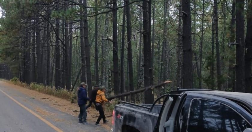 Deja Tormenta Invernal afectaciones en suministro de energía eléctrica y servicios de comunicación en el estado