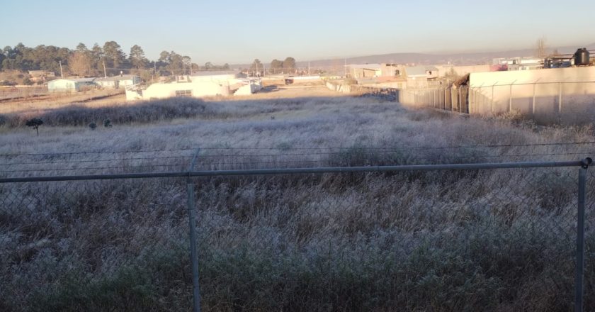 Registran temperaturas bajo cero nueve municipios durante las primeras horas de este miércoles